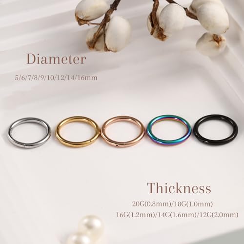 AROWRO Nose Rings Hoops 5 Pcs Septum Rings 20G 18G 16G 14G 12G Conch Piercing Jewelry 316L Surgical Steel Hinged Segment Nose Hoops Helix Daith Rook Tragus Cartilage Piercing Jewelry