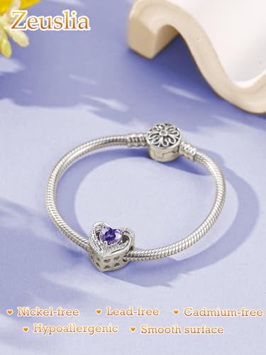 Heart Birthstone Charms for Bracelets, 925 Sterling Silver Women Bead Charms for Charm Bracelets Necklace, Mother's Day Birthday Anniversary Jewelry Gifts for Wife Mom Grandma Daughter - style: Bead - Feb - Amethyst