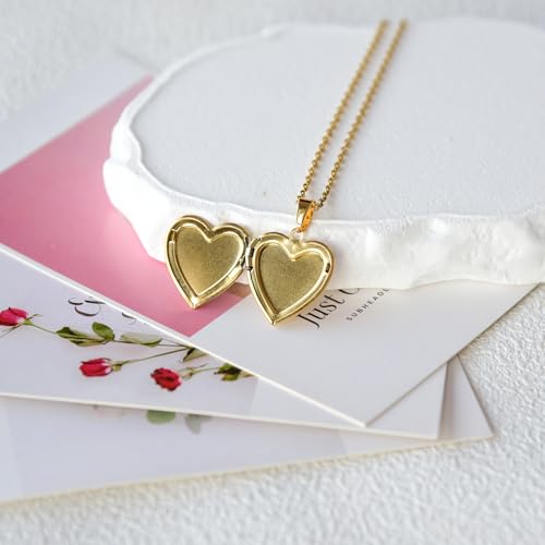 Heart Locket Necklace That Holds Pictures Pressed Flower Photo Locket Pendant Necklace for Girl Women Gift for Her - style: Little Narcissus