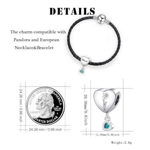 Birth Flower Heart Charm 12 Birthstone Bead for European Bracelet Necklace - style: March