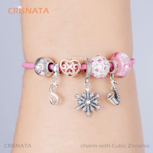 26 Letter Pendant Charms, Polished 925 Sterling Silver Complete Initial A-Z Dangling CZ Stone Alphabet Beads, fits European Bracelet Necklace, Gift for Mother/Father/Daughter/Son/Sister/Aunt - color: Letter S CZ Pendant Charm