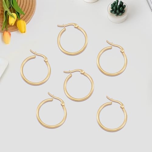 Beebeecraft 1 Box 12 Pairs Small Round Hoop Earrings 18K Gold Plated Stainless Steel Gold Ring Hoops 25mm Circle French Decorative Chunky Jewelry Earring Rings for Women Ear Piercing Jewelry DIY Decor - size: 25x2mm