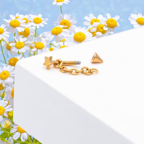 3 Pcs 316L Stainless Steel 16G Tragus Helix Rook Piercing Jewelry with Chain, Cartilage Earrings for Women, Belly Button Ring Vertical Labret Lip Piercing Jewelry - color: Gold, size: Star
