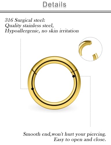 20G 18G 16G 14G 12G 10G Surgical Steel Hinged Clicker Segment Nose Rings Hoop Lip Rings Helix Cartilage Daith Tragus Sleeper Earrings Body Piercing for Women Men 6mm 8mm 10mm 12mm 14mm 16mm - color: Gold-10G(2.5mm)-Inner Diameter: 10mm 12mm 14mm 16mm