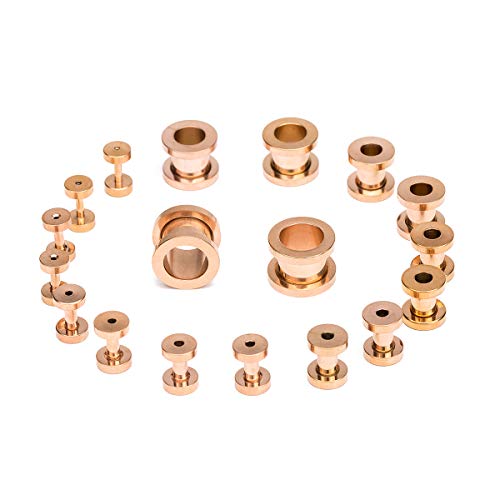 18PCS Ear Tunnels Kit Stainless Steel Screw Fit 14G-00G Gauges Plugs Set Double Flared Stretcher Expander Body Piercing Jewelry - color: Rose Goldtone