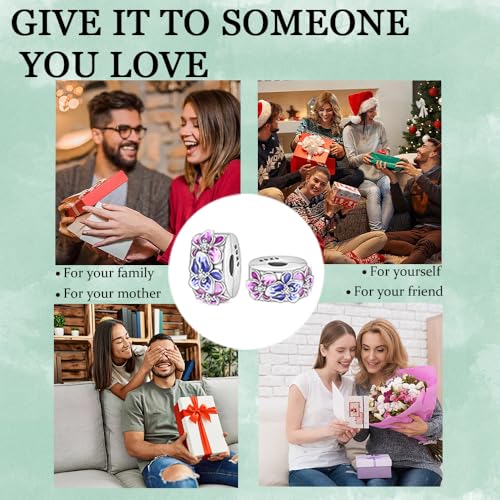 925 Sterling Silver Stopper Clip Charms for Bracelet Necklace Spacer Beads with 5A Cubic Zirconia Mother's Day Christmas DIY Gift for Women(2PCS) - style: Purple Iris