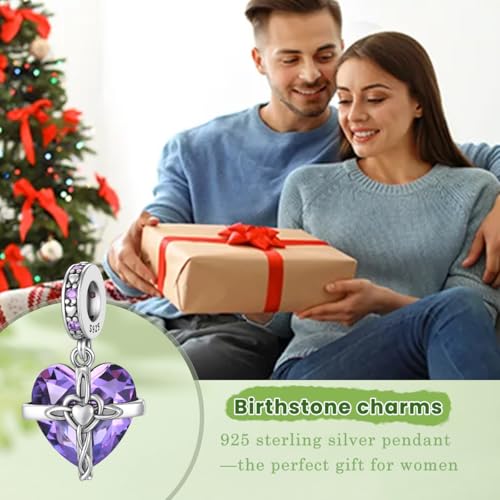Birthstone Charm, 925 Sterling Silve Heart Dangle Charms for Pandora Bracelets, Ladies Birthday Gift - style: B-February