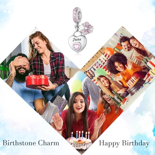 HappyStar 925 Sterling Silver Happy Birthday Bead Charm Love Heart Shape Birthstone Charms for Bracelets Dangle Pendant with 5A Cubic Zirconia Compatible Pandora Bracelets Jewelry Gift for Women - color: 6-June Birthstone Charms