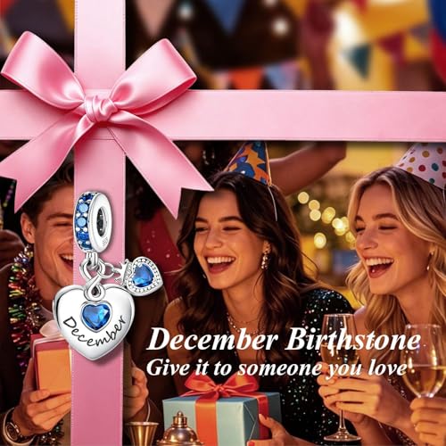 BLUELUNE Birthstone Charms, 925 Sterling Silver Dangle Charm with 5A Cubic Zirconia for Bracelets or Necklaces, Birthday, Mother's Day Present for Women - color: December