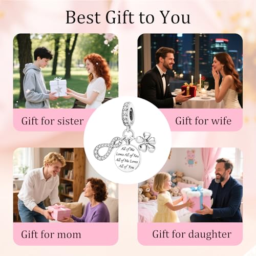 925 Sterling Silver Bead Charm for Pandora Bracelets and Necklaces,Pink Bow Cherry Butterfly Blue Ocean Pendant Bead Charms Jewelry Present Valentines Gifts for Wife/Girlfriend Women - style: All of Me Loves All of You
