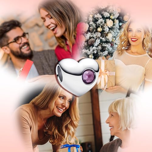 Birthstone Charm, Heart Charm Bead with CZ, for Anniversary Birthday Mothers Valentines Day Christmas Graduation, for Yourself Family Mom Friend Girlfriend Sister Grandma - style: Feb.