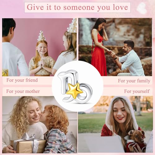 925 Sterling Silver 12 Astrological Signs Charm for Bracelets and Necklace Happy Birthday Charms for Bracelet and Necklace Valentine's Day Mother's Day Gift - style: Capricornus Charm