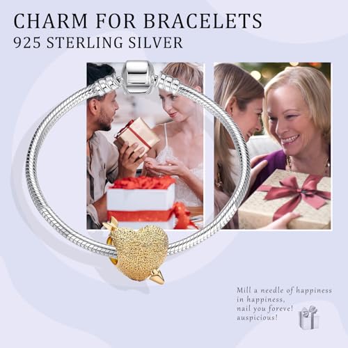 14K Gold Plated Silver Charms for Pandora, Women Heart Family Love Pet Animal Bead Dangle for Bracelets Necklace Jewelry Gift - color: B-Golden- Cupid's Arrow Heart