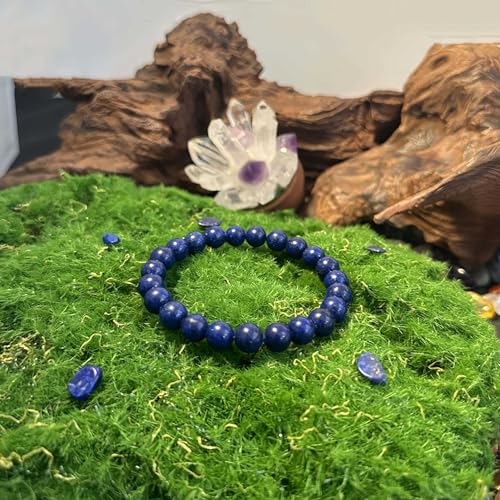 Amethyst Bracelet for Women Men, Elegant Handmade Natural Gem Stone Round Beaded Stretch Elastic Adjustable Healing Bracelets 8mm Gifts - color: AL-0232, size: Medium