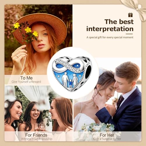 925 Sterling Silver Charms for Bracelets and Necklaces Beads Charms Jewelry Gift for Women - color: A Happy Family