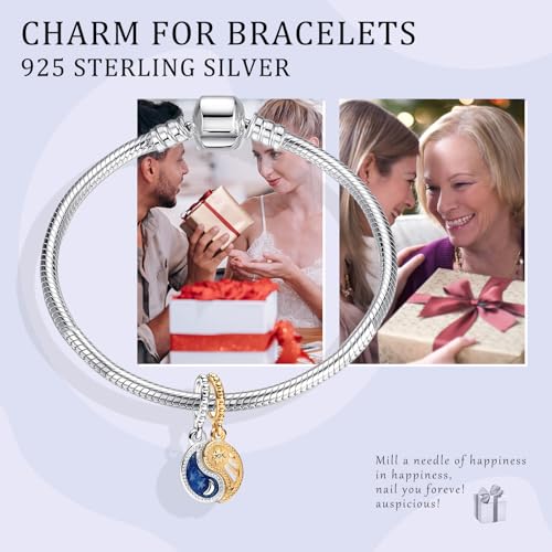 14K Gold Plated Silver Charms for Pandora, Women Heart Family Love Pet Animal Bead Dangle for Bracelets Necklace Jewelry Gift - color: B-Two-Tone Splittable Sun and Moon