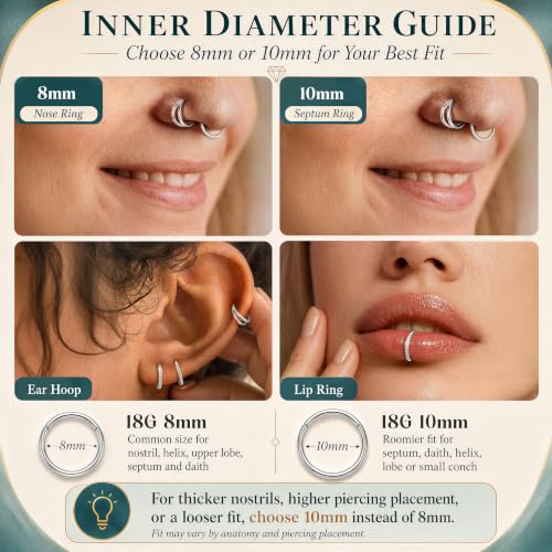 CASSIECA 5Pcs 18G 16G Surgical Steel Nose Rings Hoop for Women CZ Clicker Hinged Septum Ring Lip Helix Cartilage Double Hoop Earring Daith Rook Conch Body Piercing Jewelry for Women 8mm 10mm - style: Silver: 18G-8mm