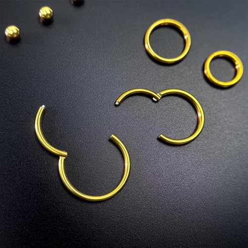 16G Hinged Clicker Segment Septum Rings Stainless Steel CZ Septum Jewelry Horseshoe Nose Lip Ring with Replacement Balls 3mm Cartilage Helix Tragus Earrings Daith Piercing Jewelry 6/8/10/12mm - style: 16G