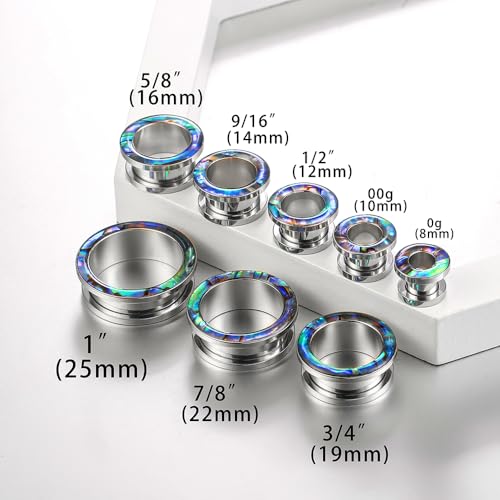 2 Pairs Abalone Pearl Shell Stainless Steel Ear Gauges Plugs and Tunnels, Size 2g - 1 inch Hypoallergenic Surgical Steel Ear Stretcher Expander Body Jewelry - color: BO1651 Silver, size: 6 mm (2g)