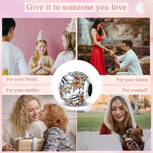 925 Sterling Silver Charms for Bracelets Necklaces Dangle Pendant With 5A Cubic Zirconias Bead Charm for Women DIY Jewelry - style: Bee Bead Charm