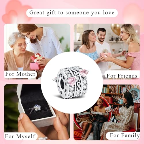 KEQ Clip Spacer Charm for Bracelet 925 Silver Pave Cubic Zirconia Clip Lock Stopper Bead Spacer For Women Bracelets Stopper Birthday Gifts European Openable Beads 2pcs - color: Pink Heart