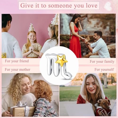 925 Sterling Silver 12 Astrological Signs Charm for Bracelets and Necklace Happy Birthday Charms for Bracelet and Necklace Valentine's Day Mother's Day Gift - style: Scorpio Charm
