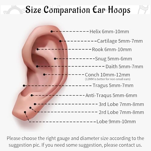 WBRWP Nose Rings Hoops for Women: 316L Surgical Steel Double Hoop Nose Rings Hinged CZ Septum Clicker Conch Cartilage Helix Rook Tragus Daith Earring Hoops Piercing Jewelry - color: Silver, size: 18G 6mm