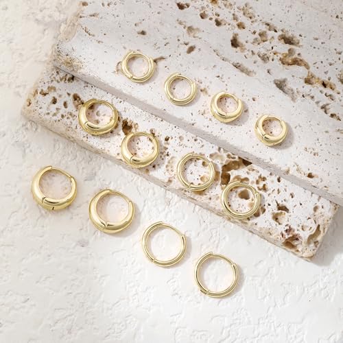 Wgoud Small Gold Hoop Earrings Set for Women, 6 Pairs 14K Gold Plated Hypoallergenic Lightweight Huggie Hoops Earrings, Trendy Cartilage Cubic Zirconia Earrings for Women Gifts. - color: 01Gold