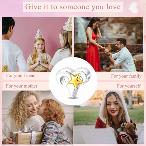 925 Sterling Silver 12 Astrological Signs Charm for Bracelets and Necklace Happy Birthday Charms for Bracelet and Necklace Valentine's Day Mother's Day Gift - style: Aries Charm