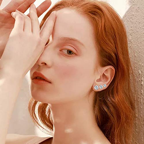 5 Pairs Titanium Screw Back Stud Earrings Set for Sensitive Ears, Hypoallergenic Surgical Stainless Steel Double Sided Round Cubic Zirconia Earrings for Women Men - color: 5pcs silver stud set