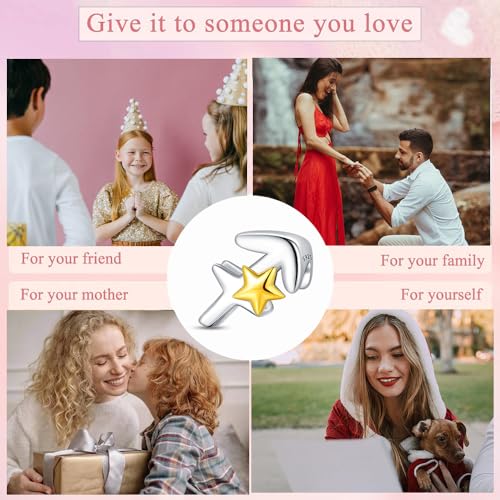 925 Sterling Silver 12 Astrological Signs Charm for Bracelets and Necklace Happy Birthday Charms for Bracelet and Necklace Valentine's Day Mother's Day Gift - style: Sagittarius Charm