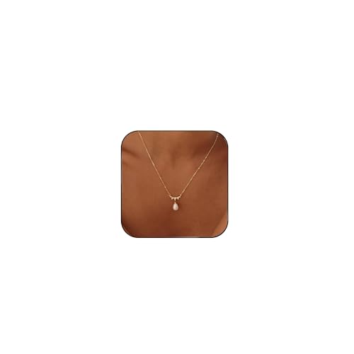 Pearl Necklaces for Women Trendy,Dainty Pearl Pendant Necklace | 14k Gold Plated Elegant Pearl Necklace,Simple Pearl Pendant,Dainty Gold Jewelry,Waterproof Summer Bridal Wedding Accessories - color: GOLD-9