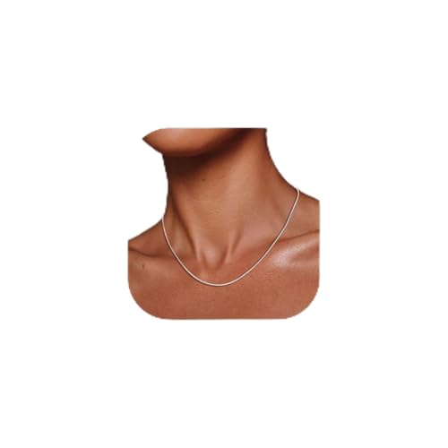 FOCALOOK Snake Chain Necklace, 1/1.2/1.5/2mm 14K Gold Plated Womens Chains | Hypoallergenic Stainless Steel Chain, Non Tarnish Rose Gold/Silver/Black Plated Finish, 14-30" Length for Everyday Layering - color: 1.2mm-Silver, size: 24 Inches