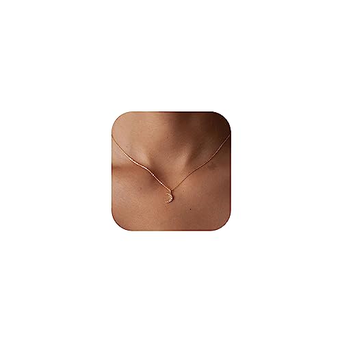 HANLI 14K Gold Plated Necklaces for Women - Dainty Butterfly, Star of David, Moon and Star, Sun, Lotus, Infinity, Hummingbird, Bee,Boots,Chill,Sunflower Pendant Designs - Elegant Jewelry for Women - color: Moon CZ