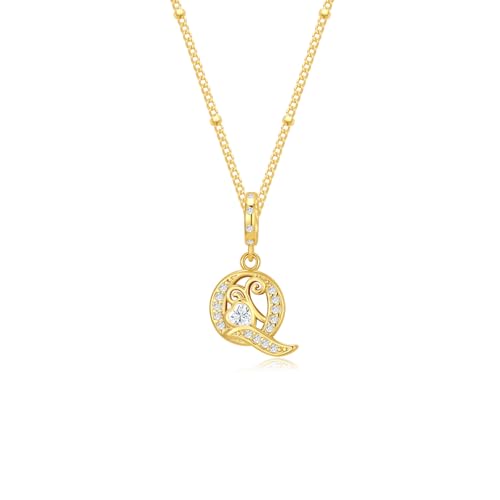TIZU Initial Necklaces for Women - Dainty 14K Gold Plated Letter Pendant Trendy Personalized Initial A-Z Necklaces Jewelry Gift - color: Gold-Q