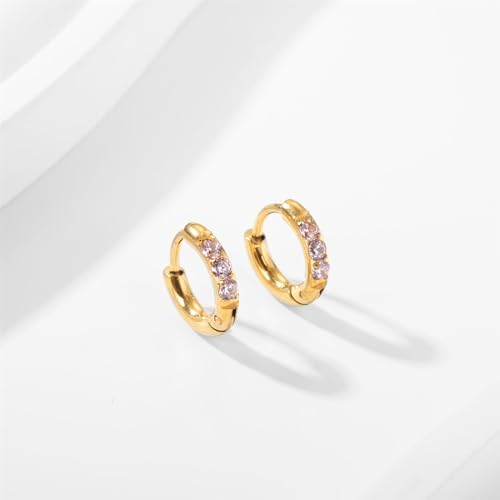 Hypoallergenic Unisex Surgical Steel Small Cubic Zirconia Huggie Hoop Earring, Color Gold - Silver - Rose Gold - Black - Rainbow, Size 6mm- 12mm Safe for Sensitive Ear - style: N02: 6MM - Gold - Pink Cubic Zirconia