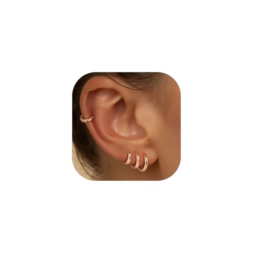 PROSTEEL Huggie Hoop Earrings For Women with 925 Sterling Silver Post | 8/10/12/14/16/18/20mm,14K Gold Plated/Black/Rose Gold/Silver Brass Lightweight Cubic Zirconia Cartilage Piercing Earring - color: 1. Rose Gold, size: 8mm
