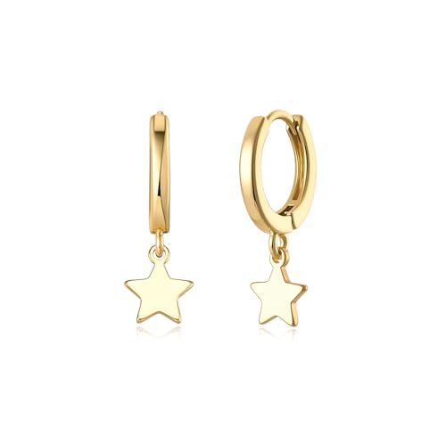 Earrings for Women 14K Gold Plated Huggie Hoop Dangle | Charm Drop,Dainty,Small,Simple,Lightweight,Hypoallergenic,Trendy,Everyday Jewelry,Gift - color: 01. Star
