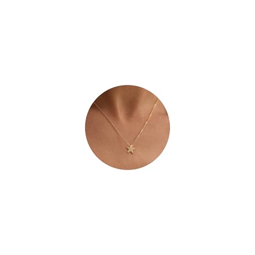 Valloey Rover Gold Necklaces for Women | Dainty 14K Gold/Sterling Silver Plated Cubic Zirconia Star Moon Pendant Necklaces Twist Rope Chain Simple Jewelry for Women - style: Gold-Star