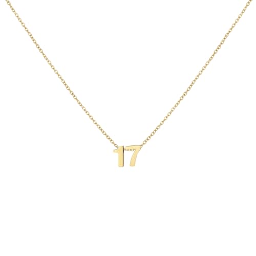 Number Necklace for Women Dainty 18K Gold Plated Pendant Necklace Charm Birth Month Personalized Jewelry Birthday Gift - color: GOLD, style: Number 17