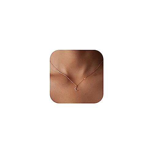 HANLI 14K Gold Plated Necklaces for Women - Dainty Butterfly, Star of David, Moon and Star, Sun, Lotus, Infinity, Hummingbird, Bee,Boots,Chill,Sunflower Pendant Designs - Elegant Jewelry for Women - color: Moon and Star