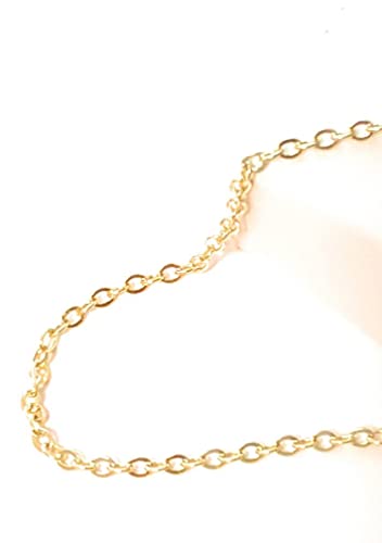 10 Inch Minimalist Anklet Plated Gold Fine Link Stainless Steel Chain Stylish Cable Style Ankle Bracelet Gift Boxed