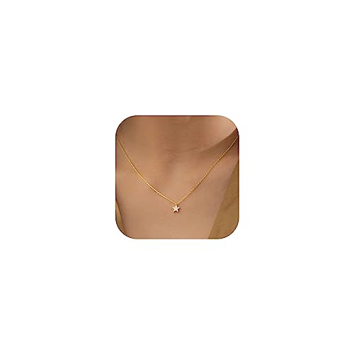 HANLI 14K Gold Plated Necklaces for Women - Dainty Butterfly, Star of David, Moon and Star, Sun, Lotus, Infinity, Hummingbird, Bee,Boots,Chill,Sunflower Pendant Designs - Elegant Jewelry for Women - color: Star CZ
