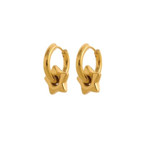 18K Gold Plated Huggie Hoop Earrings for Women, Waterproof Stainless Steel Celestial Moon Star Heart Charm Chunky Everyday Earrings - style: Star