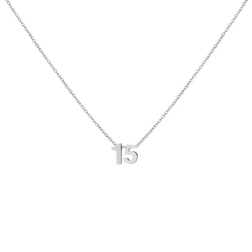 Number Necklace for Women Dainty 18K Gold Plated Pendant Necklace Charm Birth Month Personalized Jewelry Birthday Gift - color: SILVER, style: Number 15