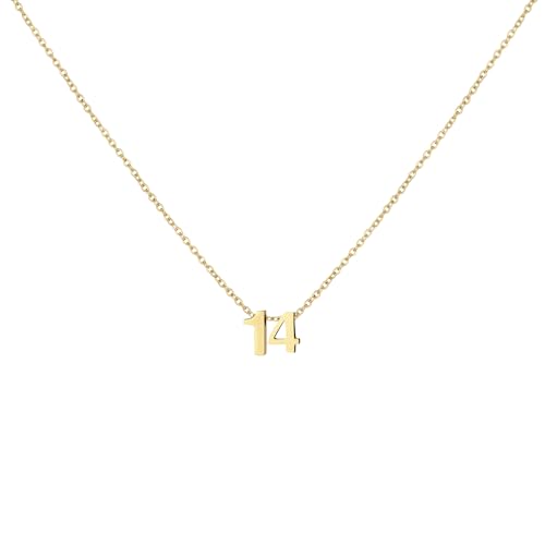 Number Necklace for Women Dainty 18K Gold Plated Pendant Necklace Charm Birth Month Personalized Jewelry Birthday Gift - color: GOLD, style: Number 14