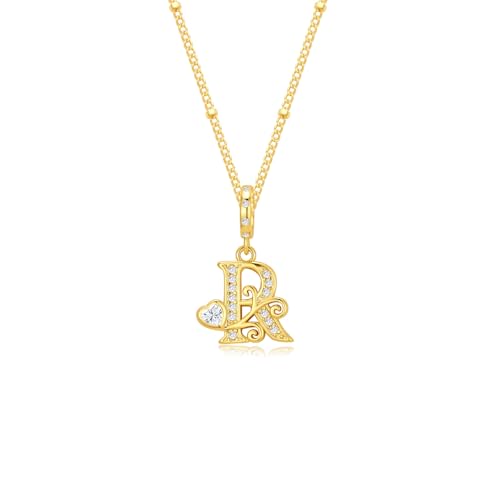 TIZU Initial Necklaces for Women - Dainty 14K Gold Plated Letter Pendant Trendy Personalized Initial A-Z Necklaces Jewelry Gift - color: Gold-R