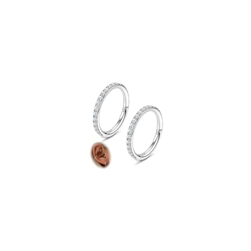 FASACCO 20G 18G 16G Cartilage Hoop Earring 316L Surgical Steel Silver Huggie Hoop Earrings Hypoallergenic Hinged Segment Rings Septum Nose Hoops Daith Conch Helix Tragus Piercing Jewelry 6mm/8mm/10mm - style: Silver-16G-6MM
