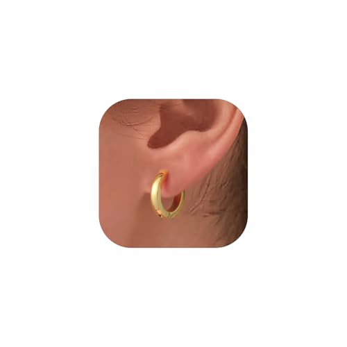 PROSTEEL Huggie Hoop Earrings for Women Men Stainless Steel Lightweight | Small Hypoallergenic Hoop Earrings, 8-16mm Silver/Gold Huggie Earrings for Women Comfort for Daily Wear dnd Cartilage Styling - color: B.14K Gold, size: 12mm