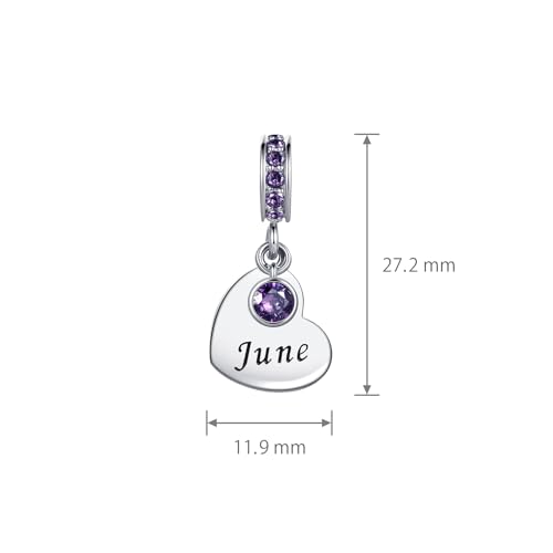 NARTGO January-December Birthstone Birthday Charm Heart Dangle Beads Jewelry Gift for Women Compatible with Pandora Bracelets & Necklaces - style: June Birthstone